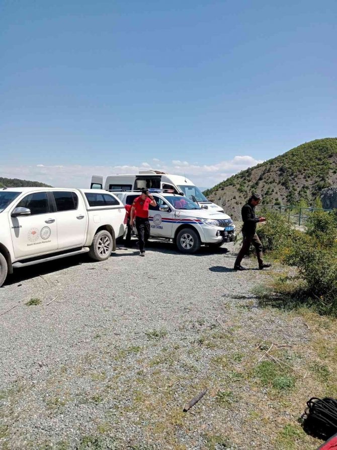 Baraja düşerek mahsur kalan karaca kurtarıldı