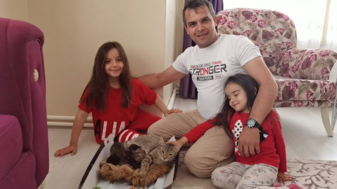 Köpeklerin saldırısından kurtarılan yabani yavru tavşana kedi annelik yapıyor