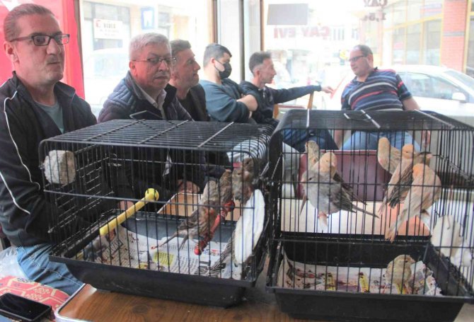 Kuş meraklıları buluştu