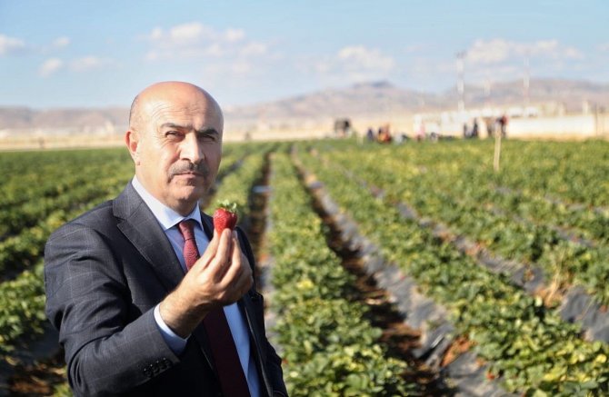 Mezopotamya Çilek Bahçesi’nde tarla günü etkinliği