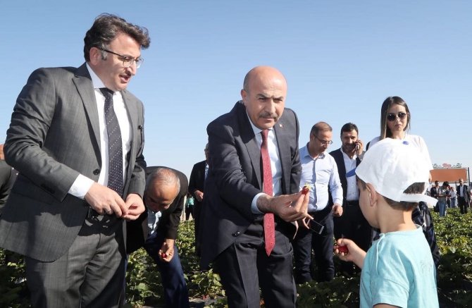 Mezopotamya Çilek Bahçesi’nde tarla günü etkinliği