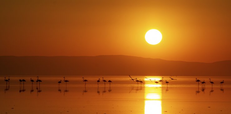 'Tuz Gölü bölgesinde açılan kaçak kuyular geleceğimizi kurutuyor'