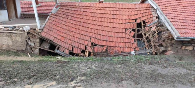 Yağış nedeniyle mandıralar çöktü, hayvanlar telef oldu