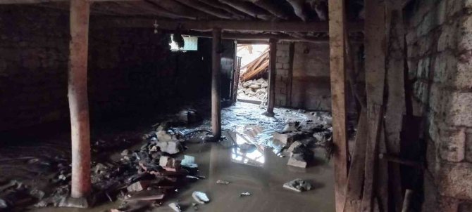 Yağış nedeniyle mandıralar çöktü, hayvanlar telef oldu