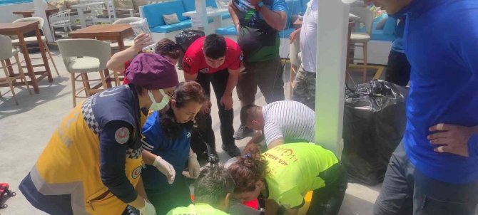 Acemi paraşütçü eğlence mekanının çatısına düştü