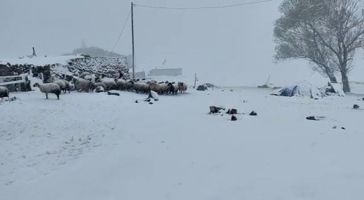 Ağrı'ya kış geri geldi
