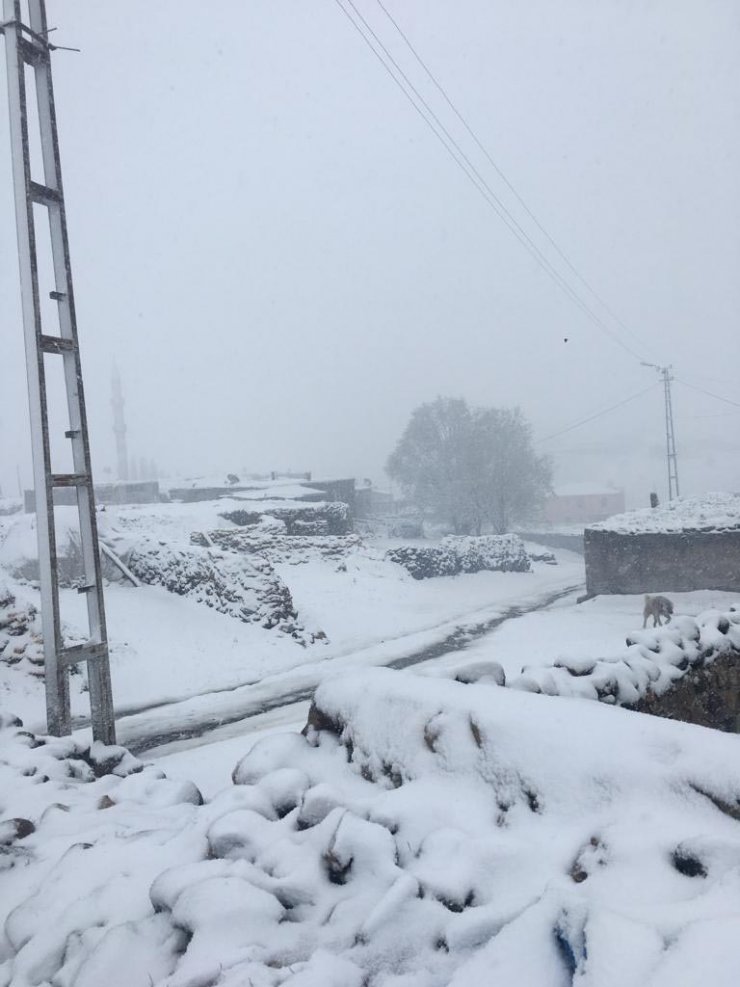 Ağrı'ya kış geri geldi