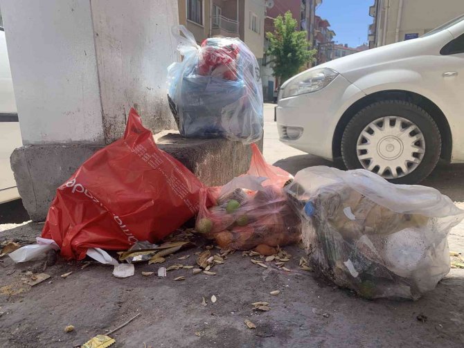 Bu sokakta çöpler duvara asılıyor