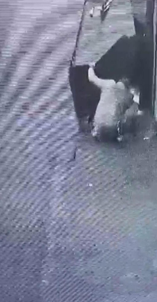 İş yerini kundaklayan şüpheli yakalandı