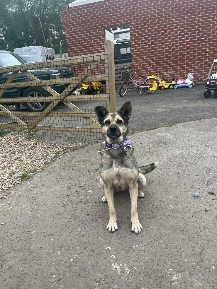 Sosyal medya kaderini değiştirdi; ‘Poppy’ Zonguldak’tan Londra’ya gitti  