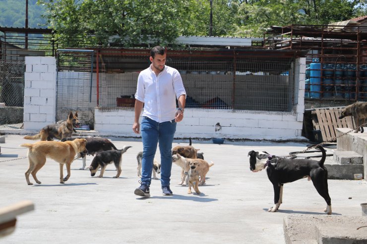 Sosyal medya kaderini değiştirdi; ‘Poppy’ Zonguldak’tan Londra’ya gitti  