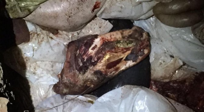 Çürümeye yüz tutmuş 3 bin 660 kilo at eti ele geçirildi