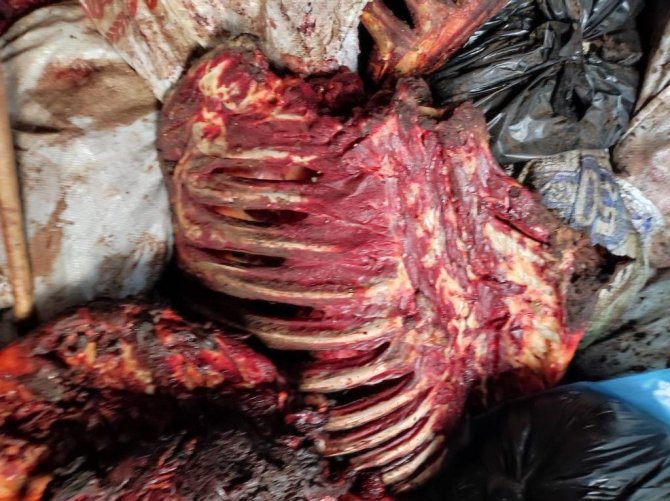 Çürümeye yüz tutmuş 3 bin 660 kilo at eti ele geçirildi