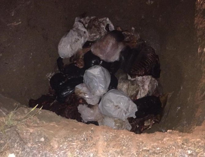 Çürümeye yüz tutmuş 3 bin 660 kilo at eti ele geçirildi