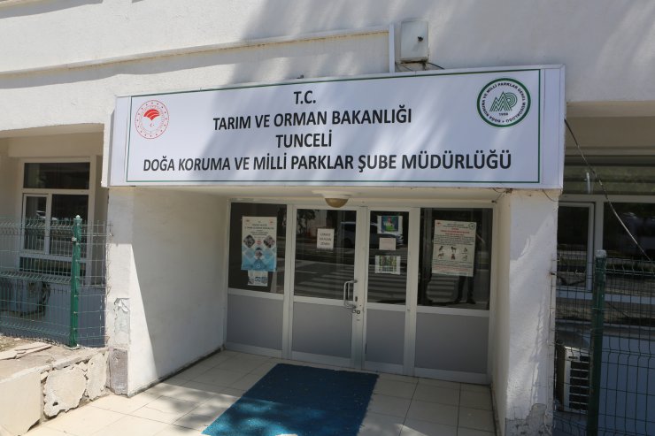 Yuvaları yıkılan 2 yavru kartal korumaya alındı