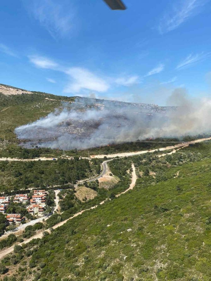 İzmir’in iki ilçesindeki orman yangınlarında 12 hektarlık alan zarar gördü