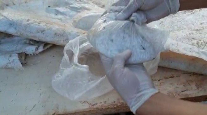 Köpek kulübesinden bile uyuşturucu çıktı