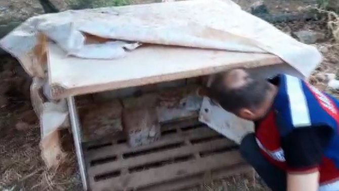 Köpek kulübesinden bile uyuşturucu çıktı