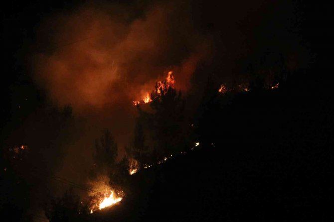 Orman yangınında 3 dekar alan zarar gördü