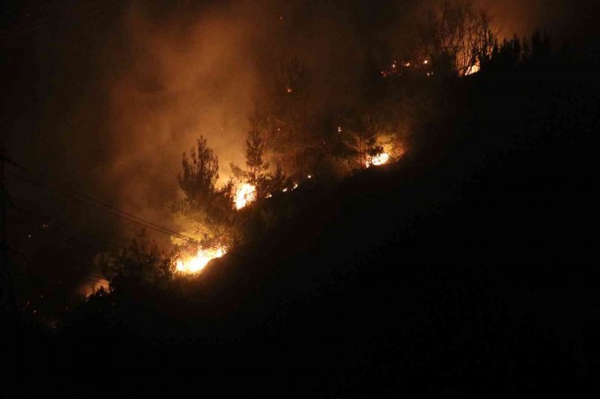 Orman yangınında 3 dekar alan zarar gördü