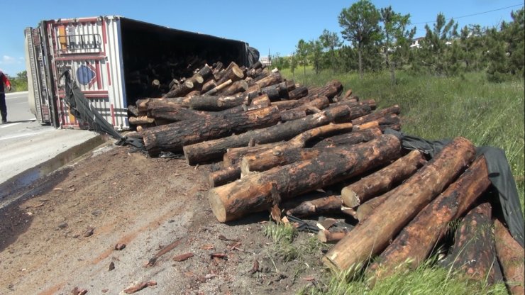 TIR devrildi, yaralı sürücü yavru köpeğini polislere emanet etti