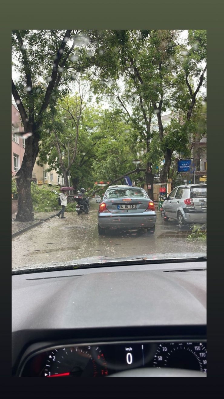 Ankara'da çatılar uçtu, ağaçlar devrildi