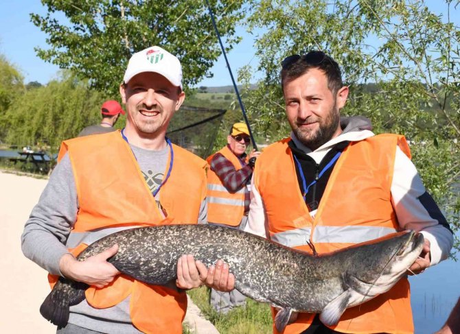 1 buçuk metrelik dev yayın balığı görenleri hayrete düşürdü