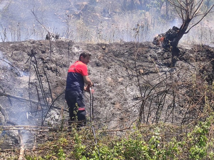 Nusaybin'de ağaçlık alanda çıkan yangın büyümeden söndürüldü