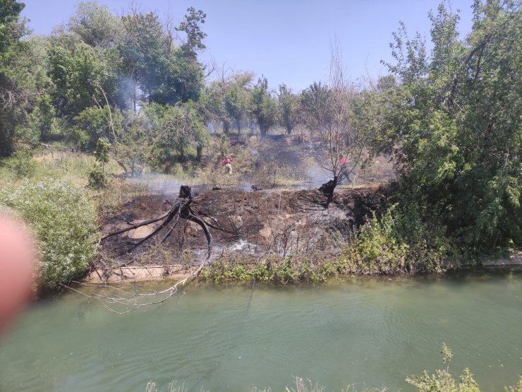 Nusaybin'de ağaçlık alanda çıkan yangın büyümeden söndürüldü