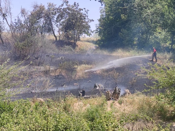 Nusaybin'de ağaçlık alanda çıkan yangın büyümeden söndürüldü