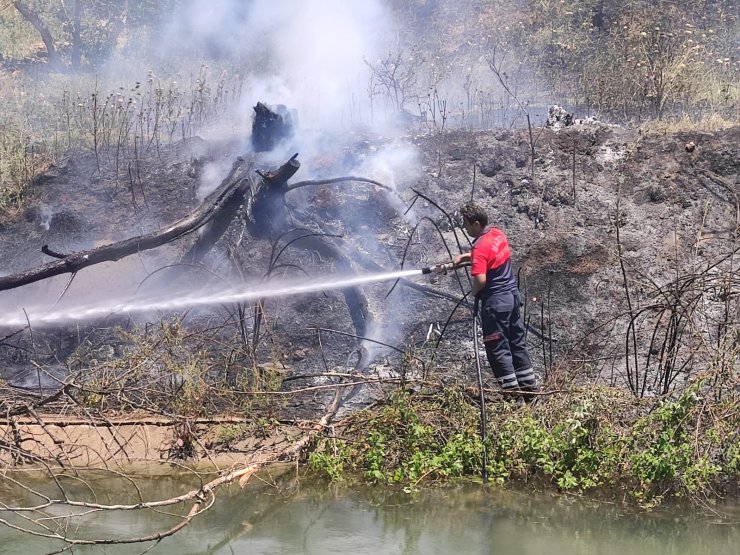 Nusaybin'de ağaçlık alanda çıkan yangın büyümeden söndürüldü