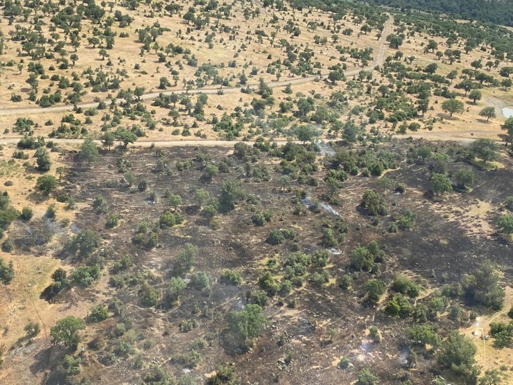 Orman yangını büyümeden söndürüldü