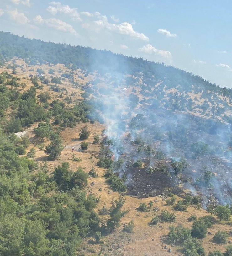 Orman yangını büyümeden söndürüldü