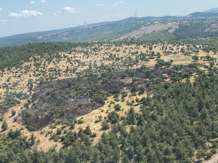 Orman yangını büyümeden söndürüldü