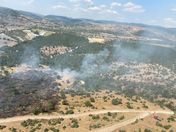 Orman yangını büyümeden söndürüldü