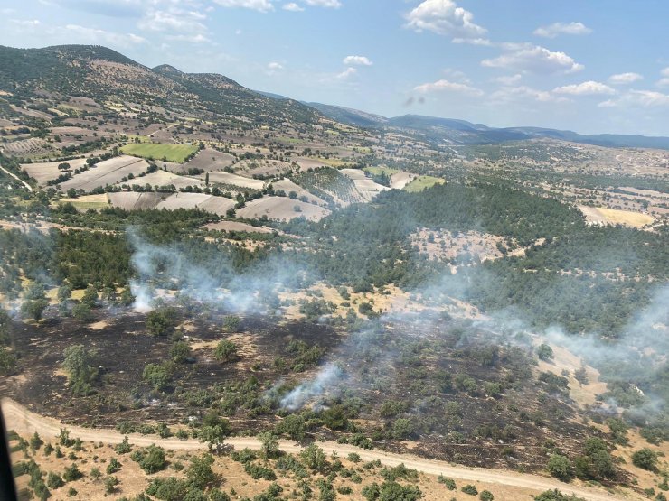 Orman yangını büyümeden söndürüldü
