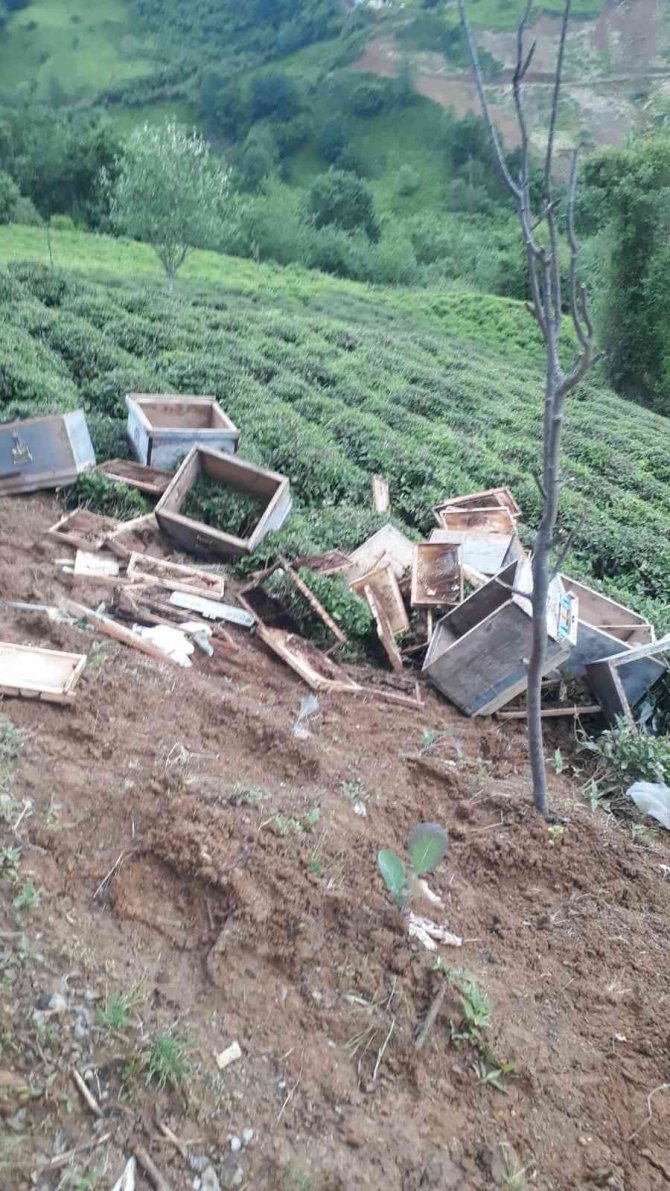 Aç kalan ayılar kovanları parçaladı