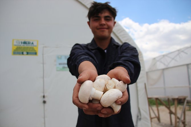 Meslek liseliler çiftçiliği hem sahada hem okulda öğreniyor
