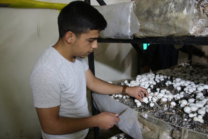 Meslek liseliler çiftçiliği hem sahada hem okulda öğreniyor