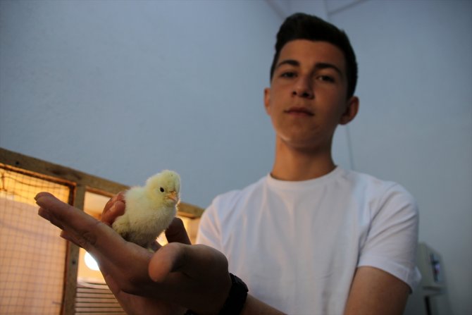 Meslek liseliler çiftçiliği hem sahada hem okulda öğreniyor