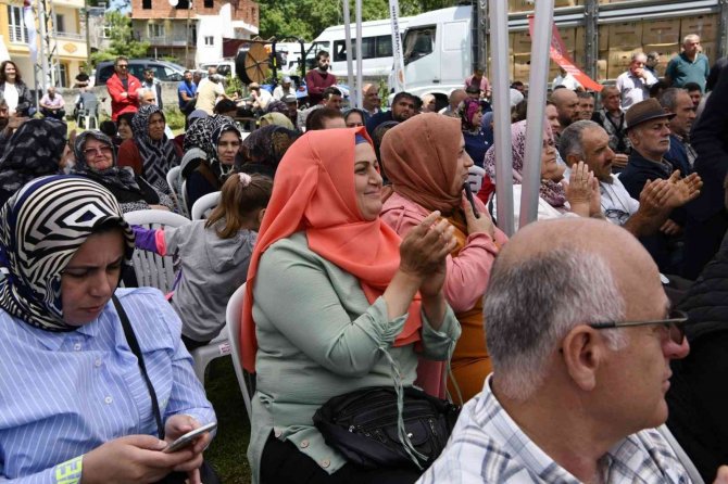 Samsun’da 500 bin çilek fidesi, 11 bin 880 aronya fidanı dağıtıldı