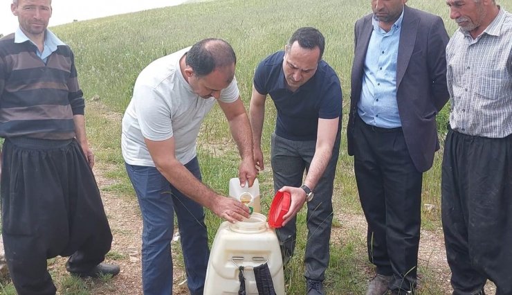 Tarım arazilerinde çekirge istilasına inceleme 