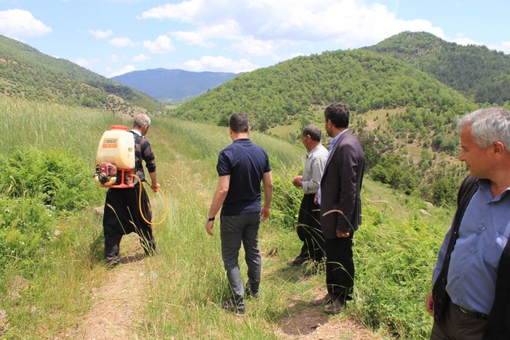 Tarım arazilerinde çekirge istilasına inceleme 