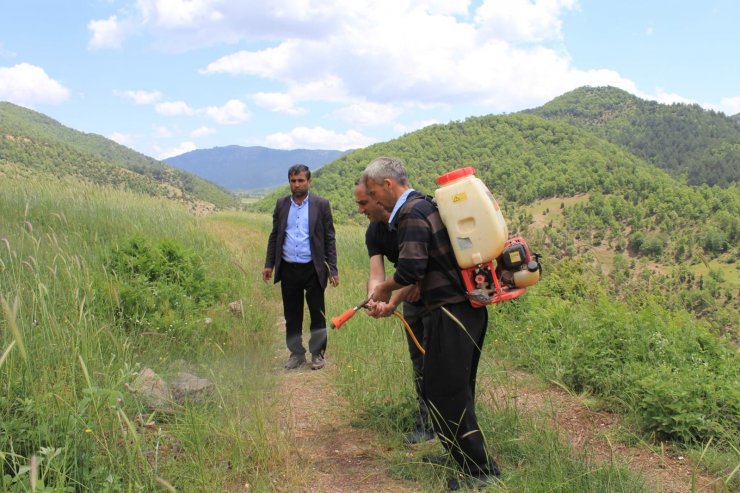 Tarım arazilerinde çekirge istilasına inceleme 