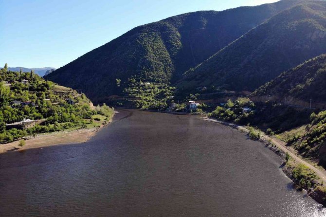 Torul Baraj Gölünde alg patlaması suyun rengini değiştirdi