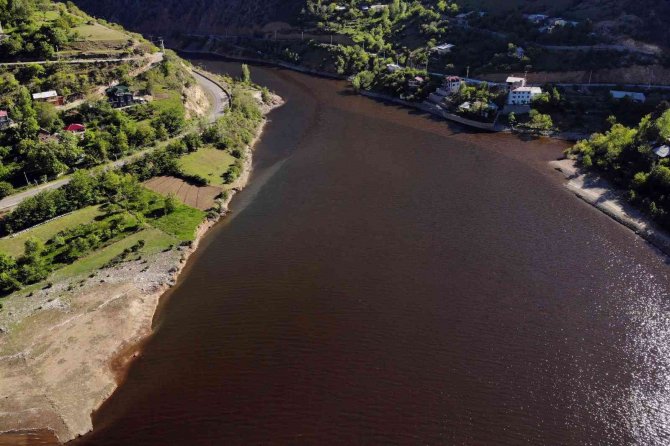 Torul Baraj Gölünde alg patlaması suyun rengini değiştirdi