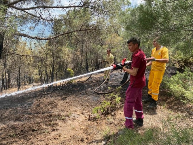 Uşak’taki orman yangınında 1,5 dekar alan zarar gördü
