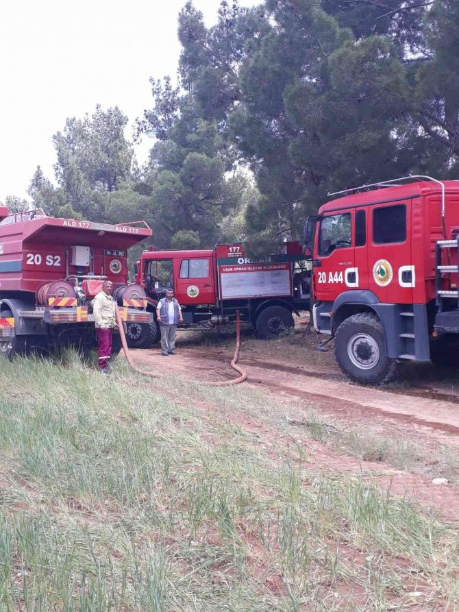 Uşak’taki orman yangınında 1,5 dekar alan zarar gördü