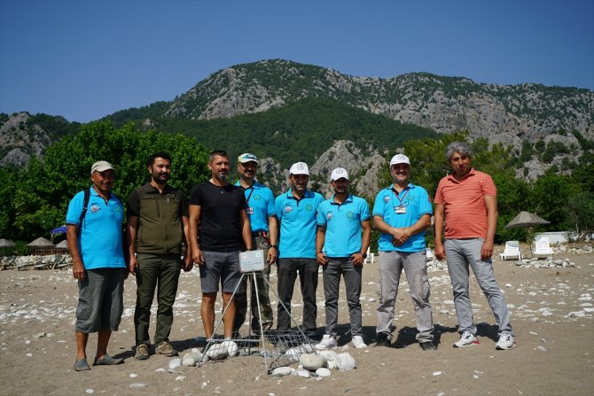 Deniz kaplumbağalarının üreme yuvası kafesle korumaya alındı