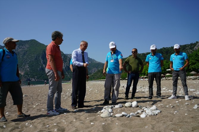 Deniz kaplumbağalarının üreme yuvası kafesle korumaya alındı
